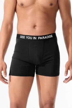 SYIP Boxer Brief 4 Pack -Jordan Craig Shop U126 BLACK MODEL2 10794beb 3f55 4c9b bc17 6a1711310081