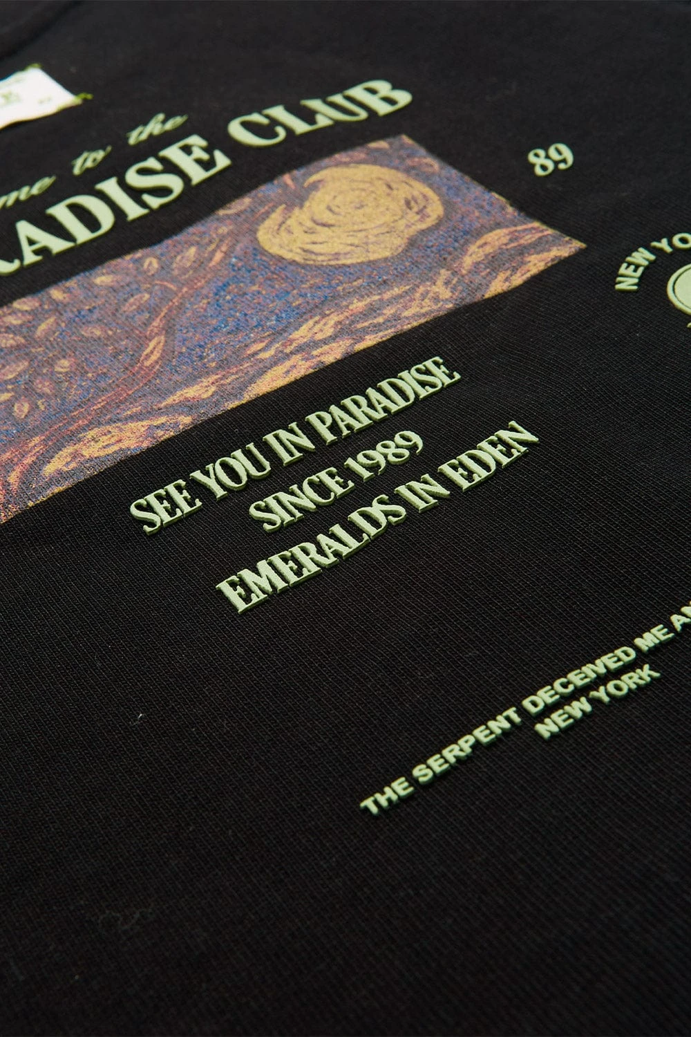 Kids Emeralds In Eden Boxy T-Shirt 7 Kids Emeralds In Eden Boxy T-Shirt - Image 7